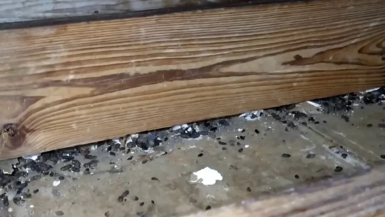 Attic Insulation